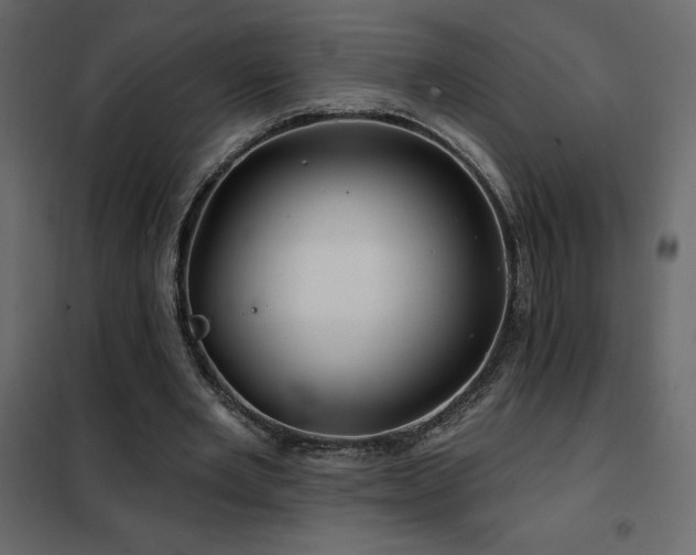 X0000102490485200808081332