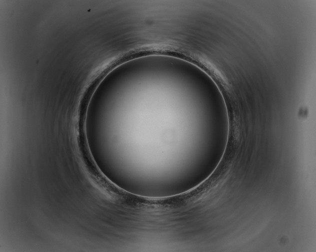 X0000102490486200808081332