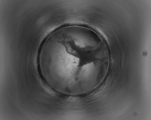 X0000102490487200808081332