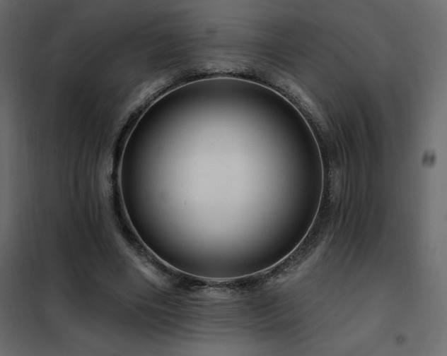 X0000102490490200808081332
