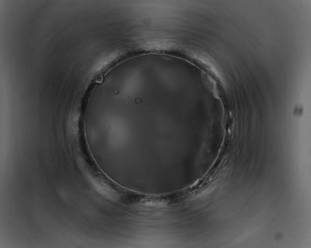 X0000102490491200808081332