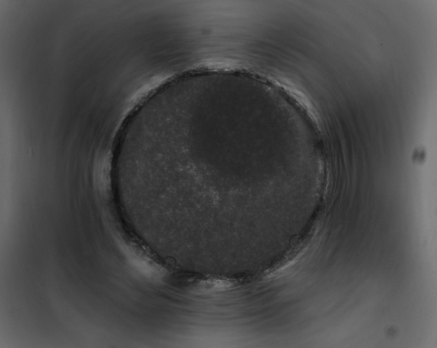 X0000102490492200808081332
