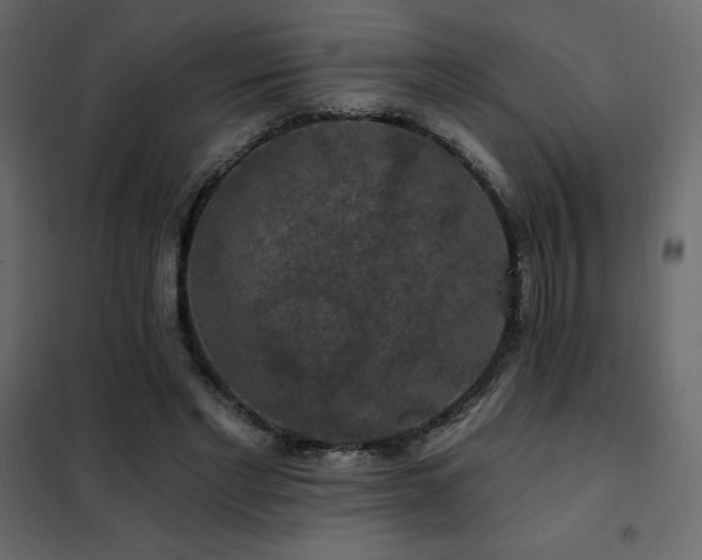 X0000102490493200808081332