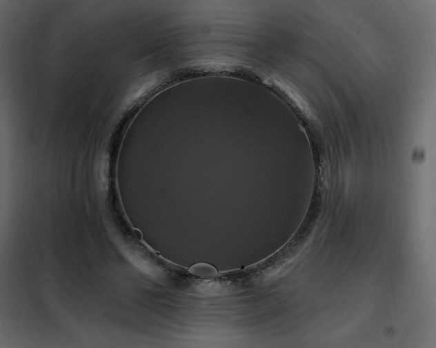 X0000102490494200808081332