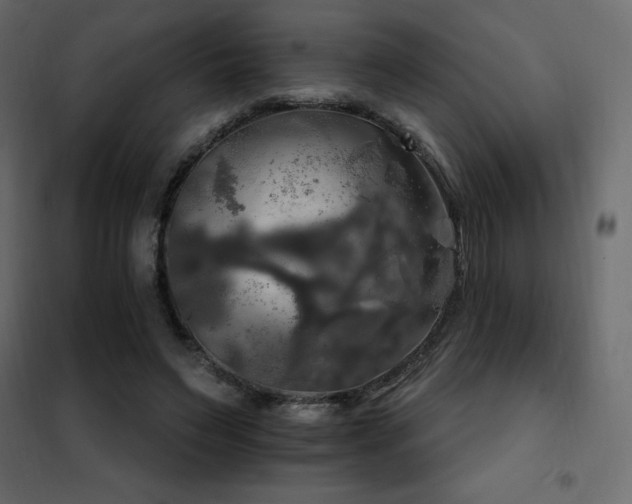 X0000102490495200808081332