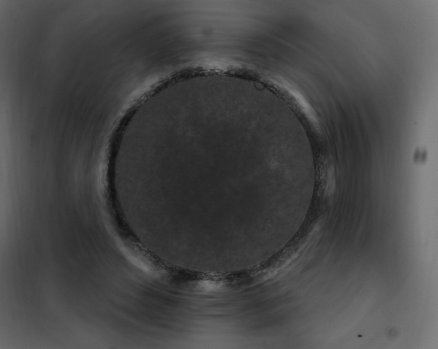 X0000102490496200808081332