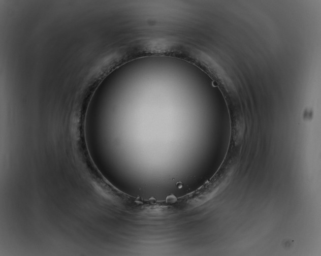 X0000102490497200808081332