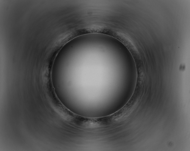 X0000102490498200808081332