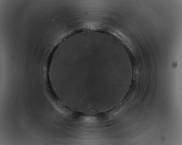 X0000102490500200808081332
