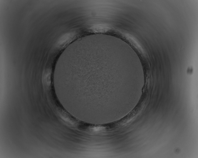X0000102490501200808081332