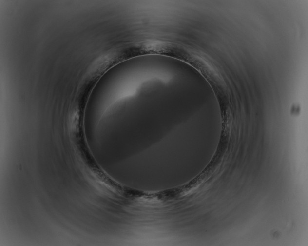 X0000102490502200808081332