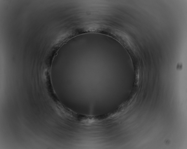 X0000102490503200808081332