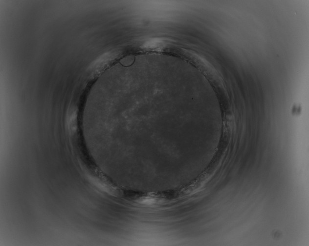 X0000102490504200808081332