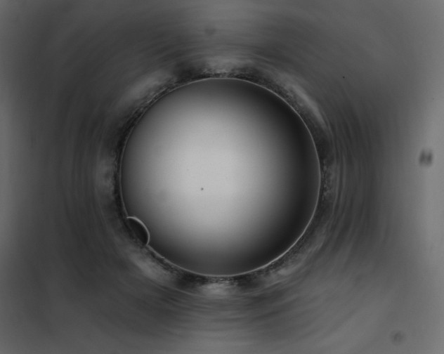 X0000102490505200808081332