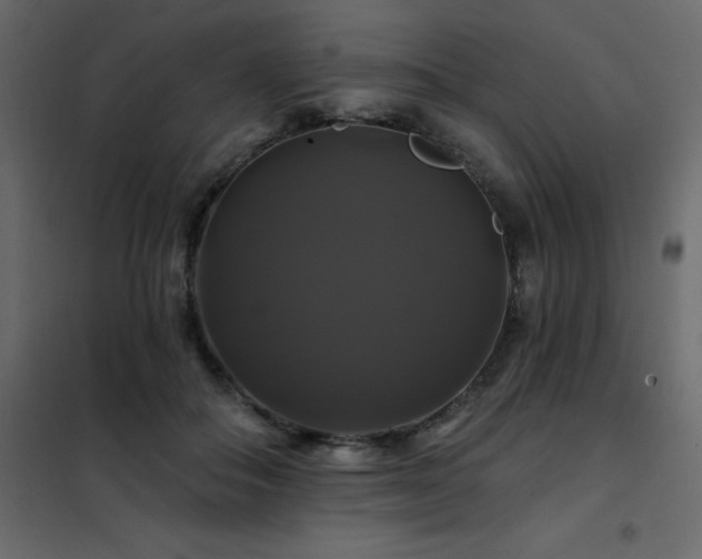 X0000102490506200808081332