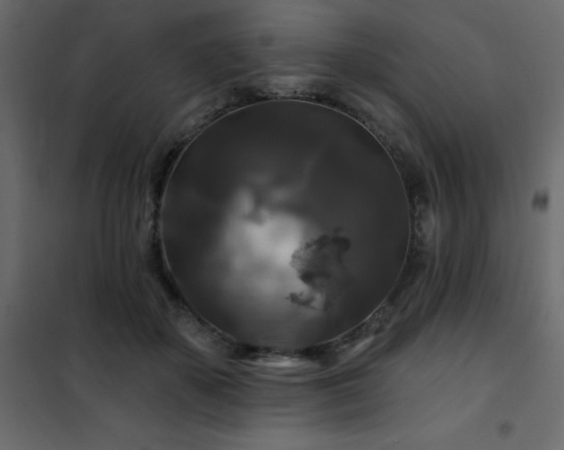 X0000102490507200808081332