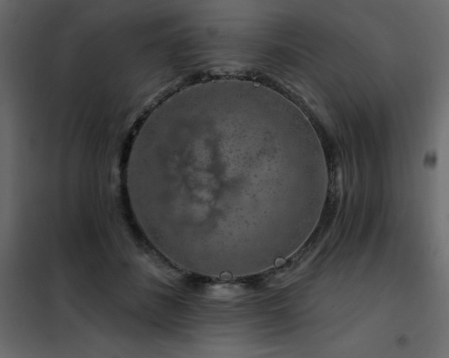 X0000102490508200808081332