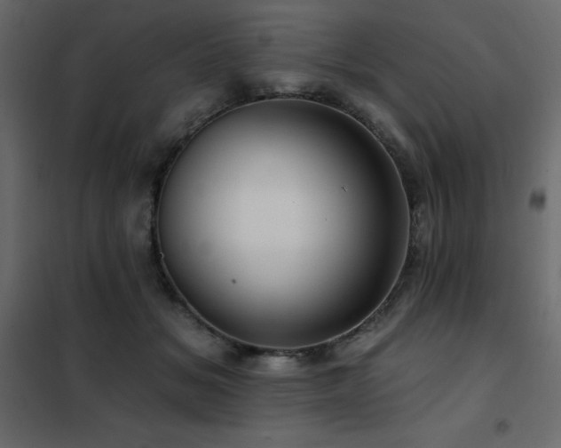 X0000102490509200808081332