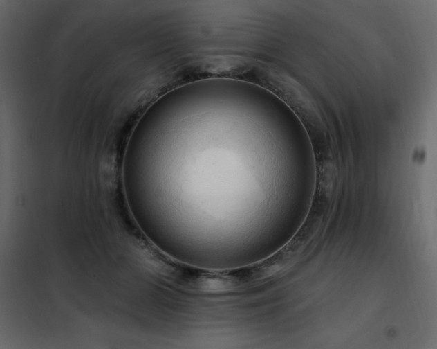 X0000102490510200808081332