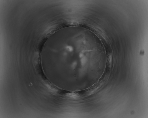 X0000102490511200808081332