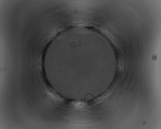 X0000102490512200808081332