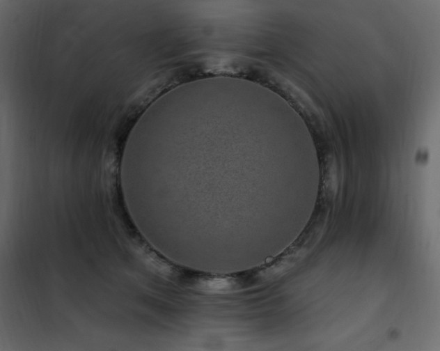 X0000102490513200808081332