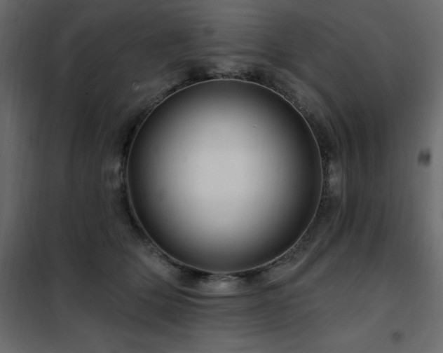 X0000102490514200808081332