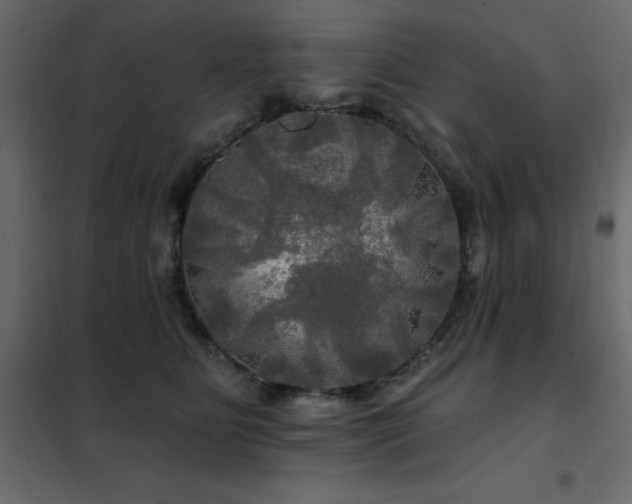 X0000102490515200808081332
