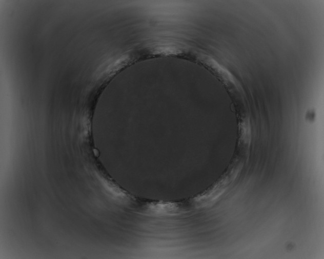 X0000102490517200808081332