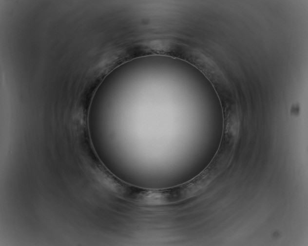 X0000102490518200808081332
