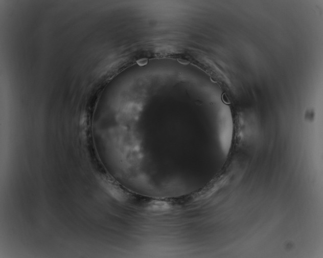 X0000102490519200808081332