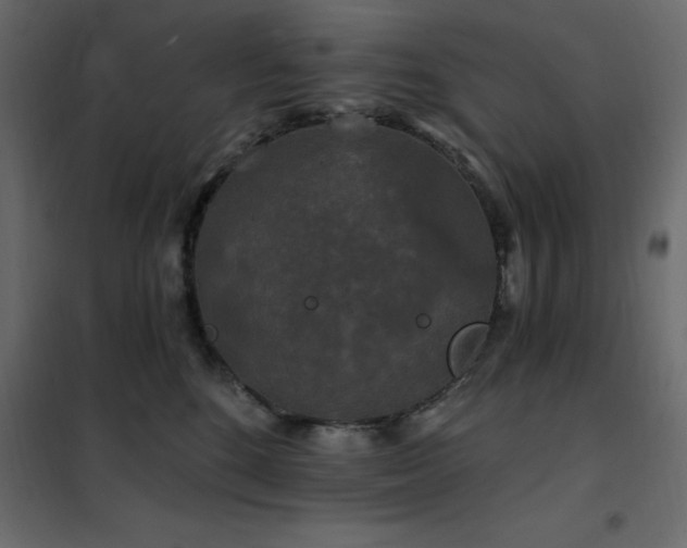 X0000102490520200808081332