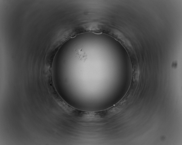 X0000102490521200808081332