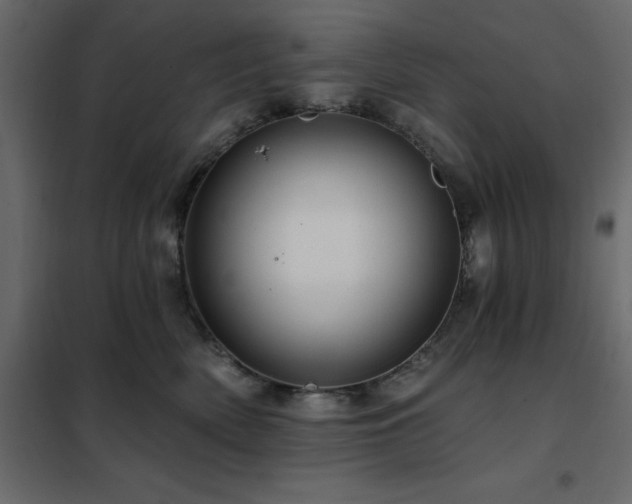 X0000102490522200808081332