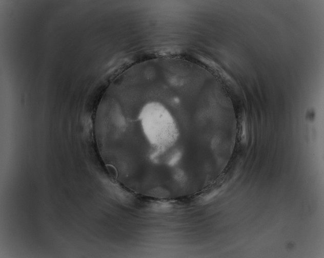 X0000102490523200808081332