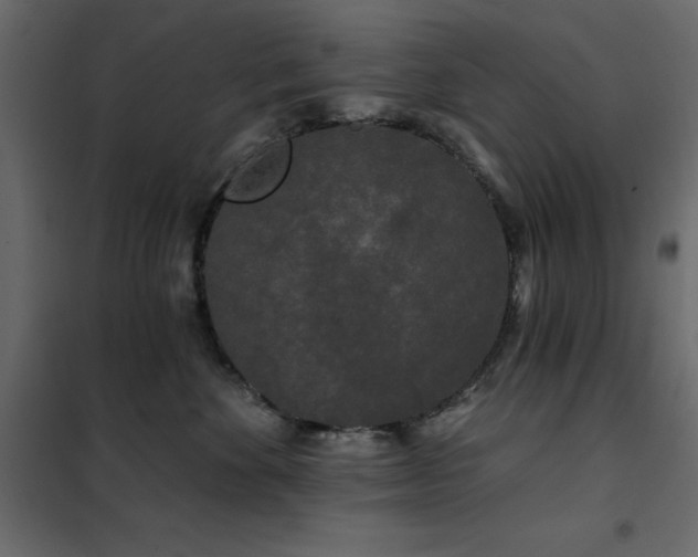 X0000102490524200808081332