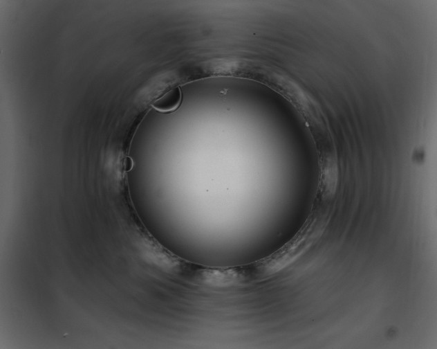 X0000102490525200808081331