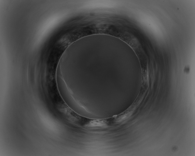X0000102490526200808081331