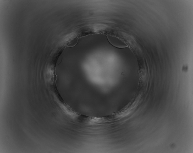 X0000102490527200808081331
