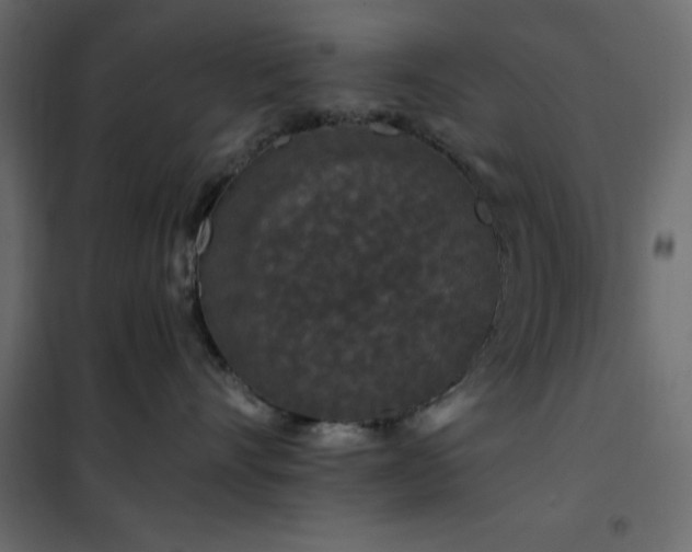 X0000102490528200808081331