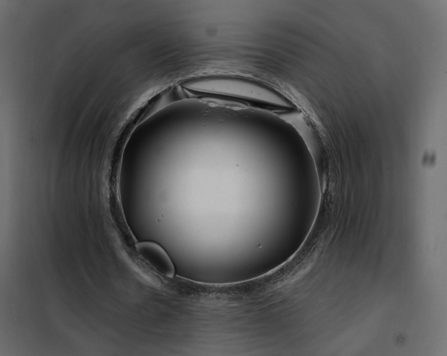 X0000102490530200808081331
