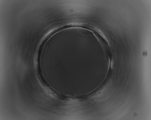 X0000102490531200808081331