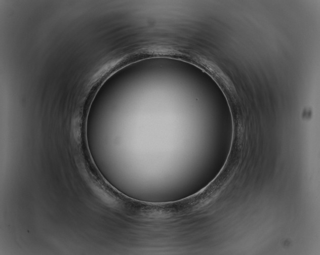 X0000102490533200808081331