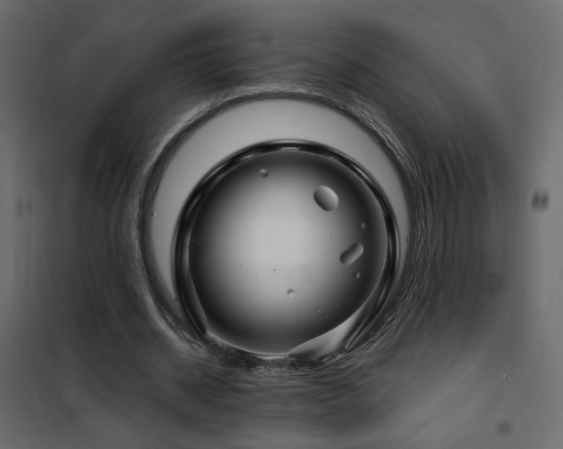 X0000102490534200808081331