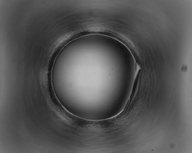 X0000102490535200808081331