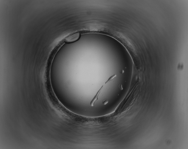 X0000102490536200808081331