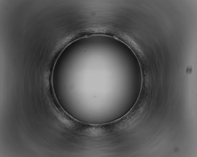 X0000102490537200808081331