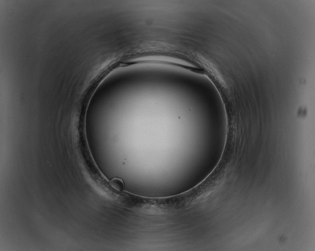 X0000102490538200808081331