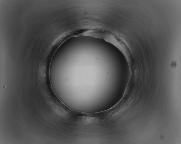 X0000102490539200808081331
