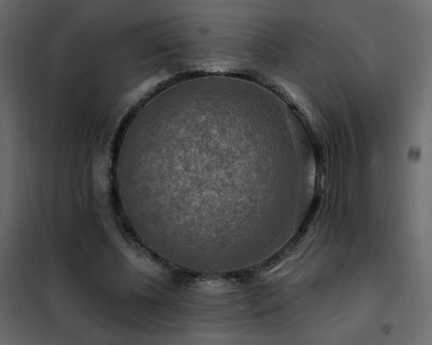 X0000102490540200808081331